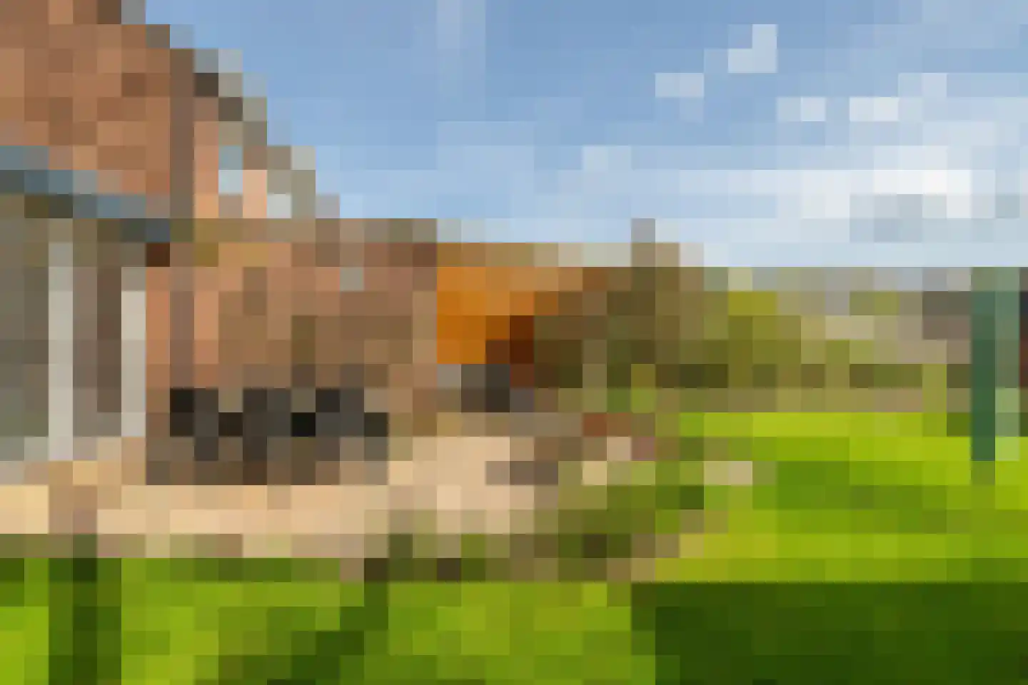 Sint Lambertusstraat 24 Den Bosch thumbnail 29