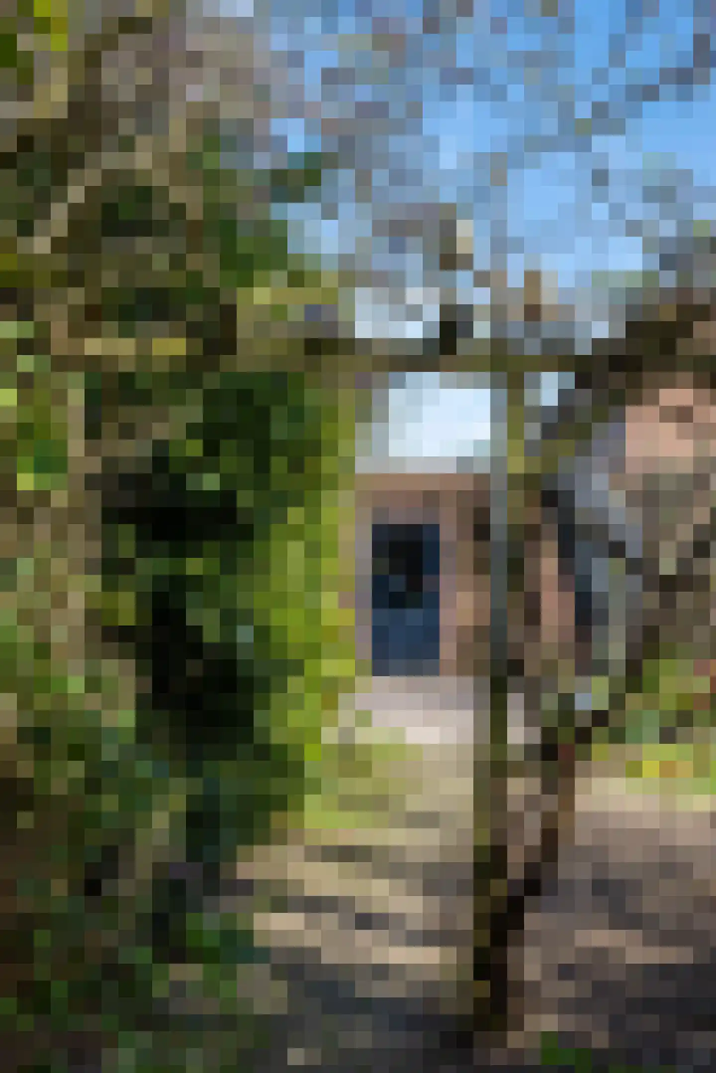 Sint Lambertusstraat 24 Den Bosch thumbnail 31