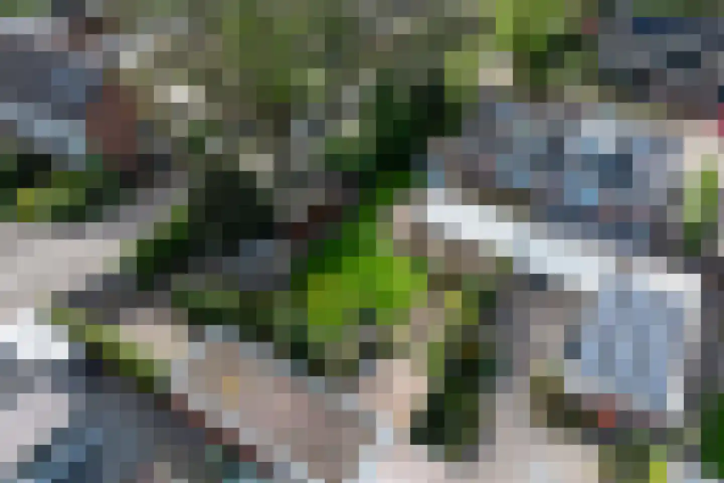 Sint Lambertusstraat 24 Den Bosch thumbnail 34