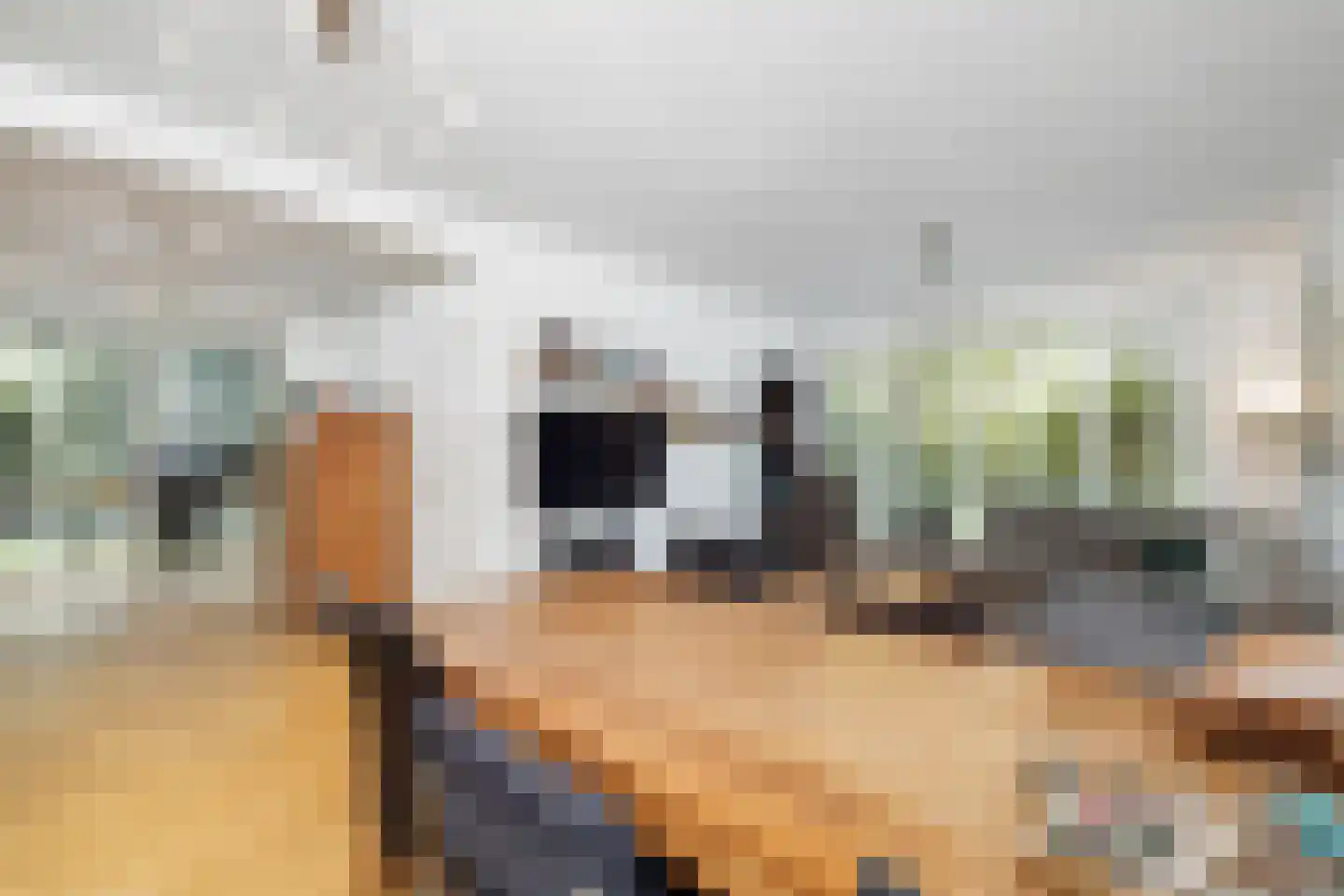 Sint Lambertusstraat 24 Den Bosch thumbnail 4