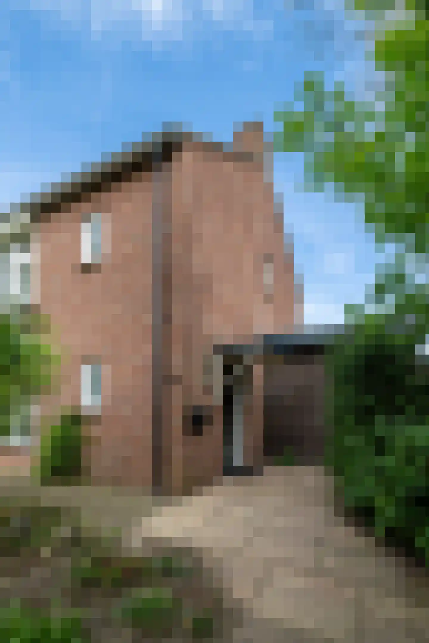 Sint Lambertusstraat 24 Den Bosch thumbnail 40