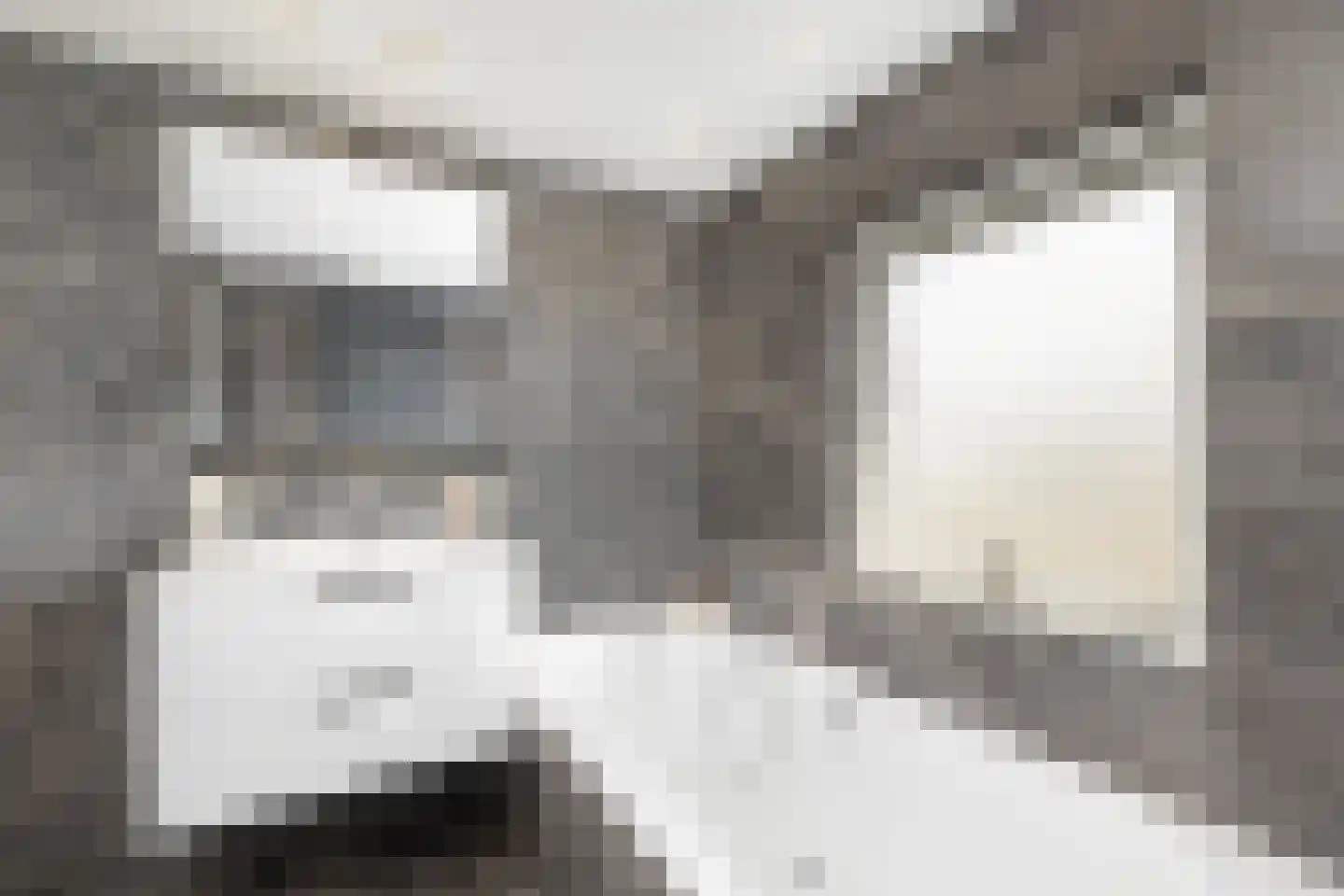 Sint Lambertusstraat 24 Den Bosch thumbnail 47