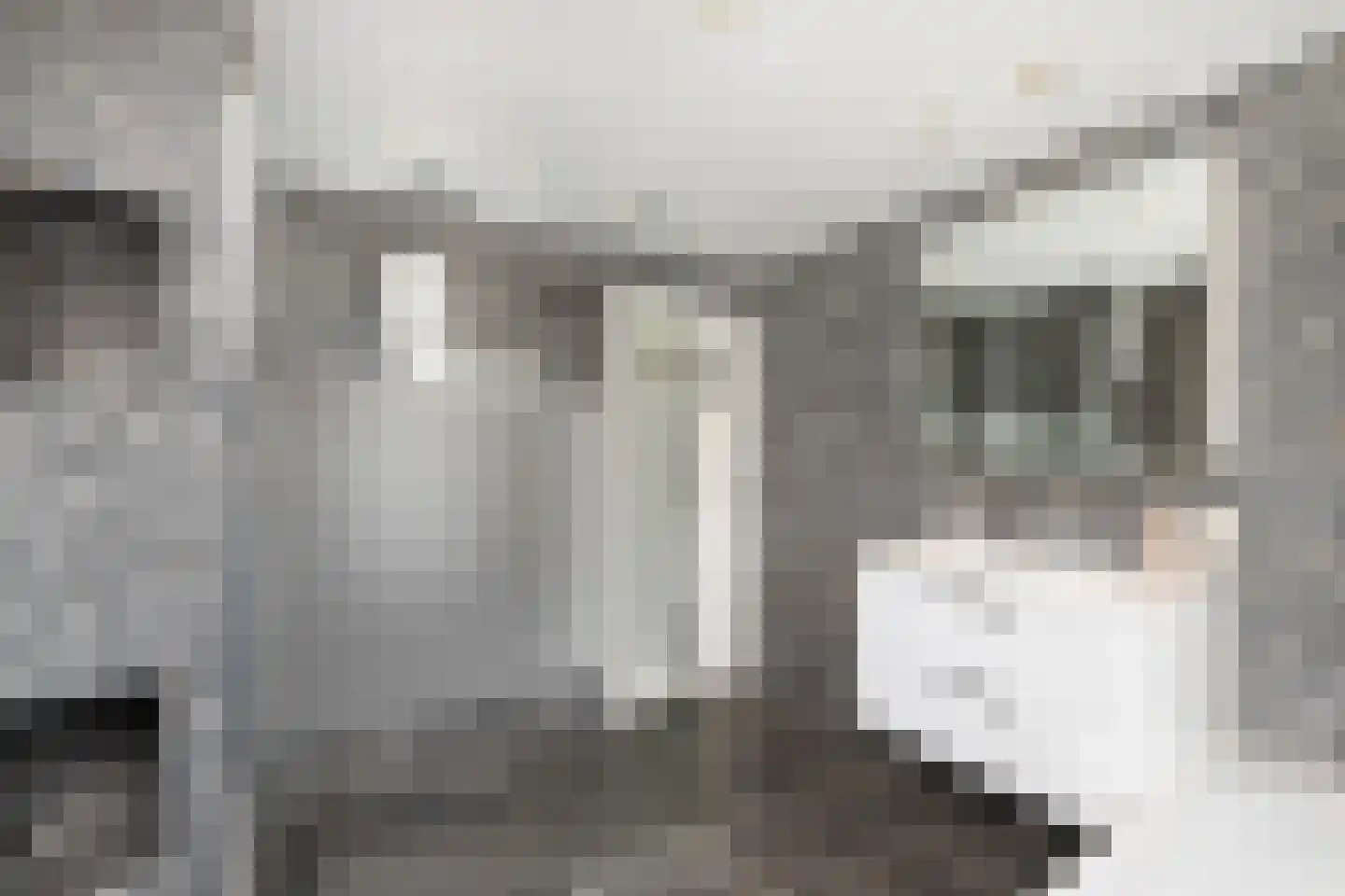 Sint Lambertusstraat 24 Den Bosch thumbnail 48