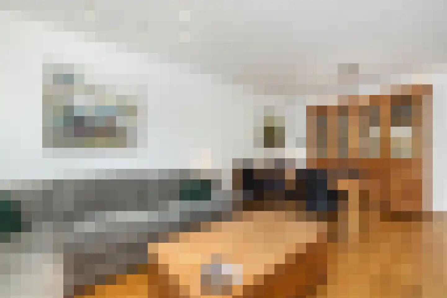Sint Lambertusstraat 24 Den Bosch thumbnail 5