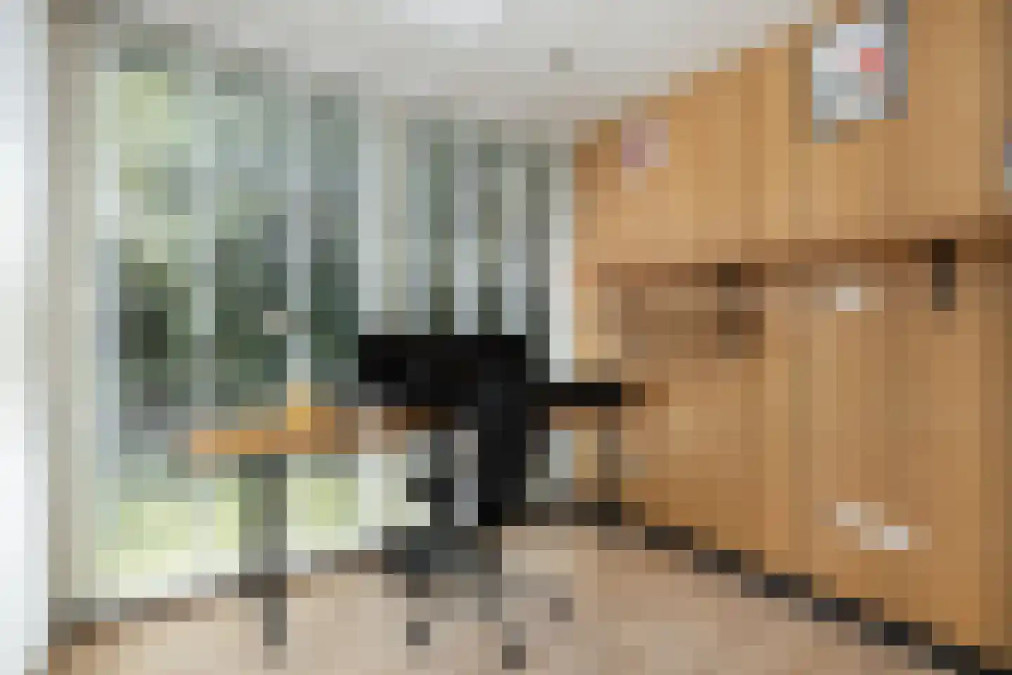 Sint Lambertusstraat 24 Den Bosch thumbnail 9