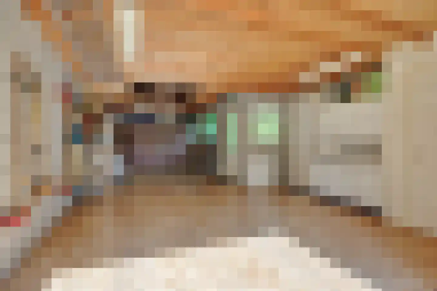 Sint Lambertusstraat 4 Rosmalen thumbnail 18