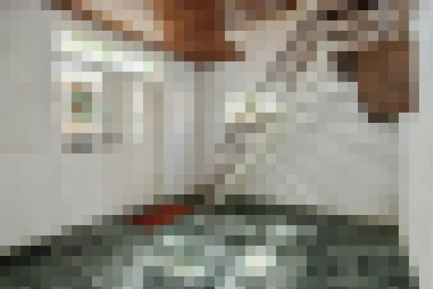 Sint Lambertusstraat 4 Rosmalen thumbnail 19