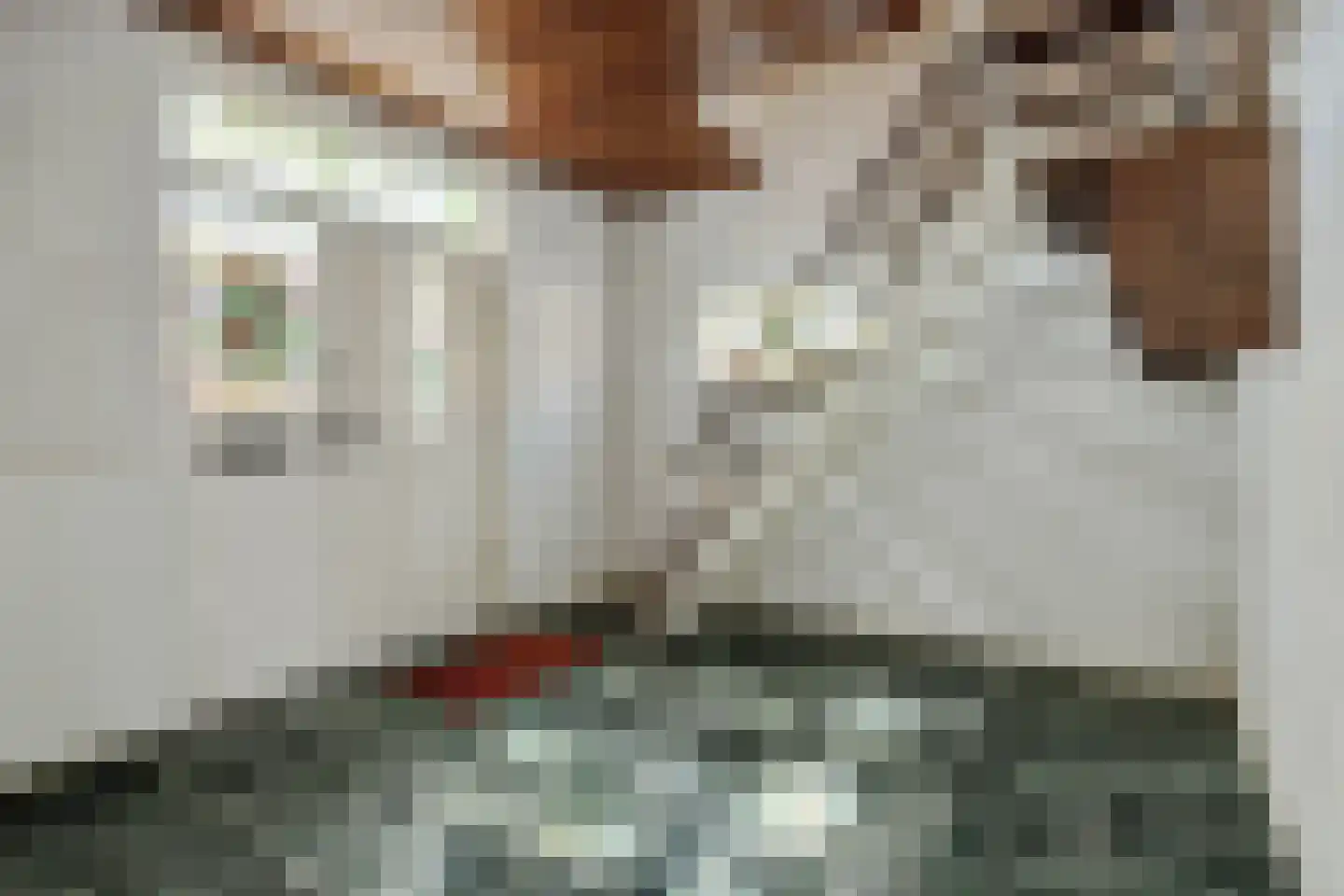 Sint Lambertusstraat 4 Rosmalen thumbnail 20