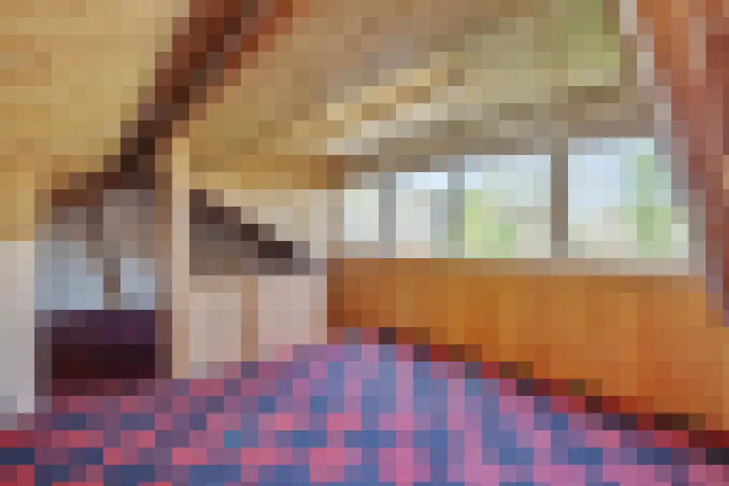 Sint Lambertusstraat 4 Rosmalen thumbnail 32