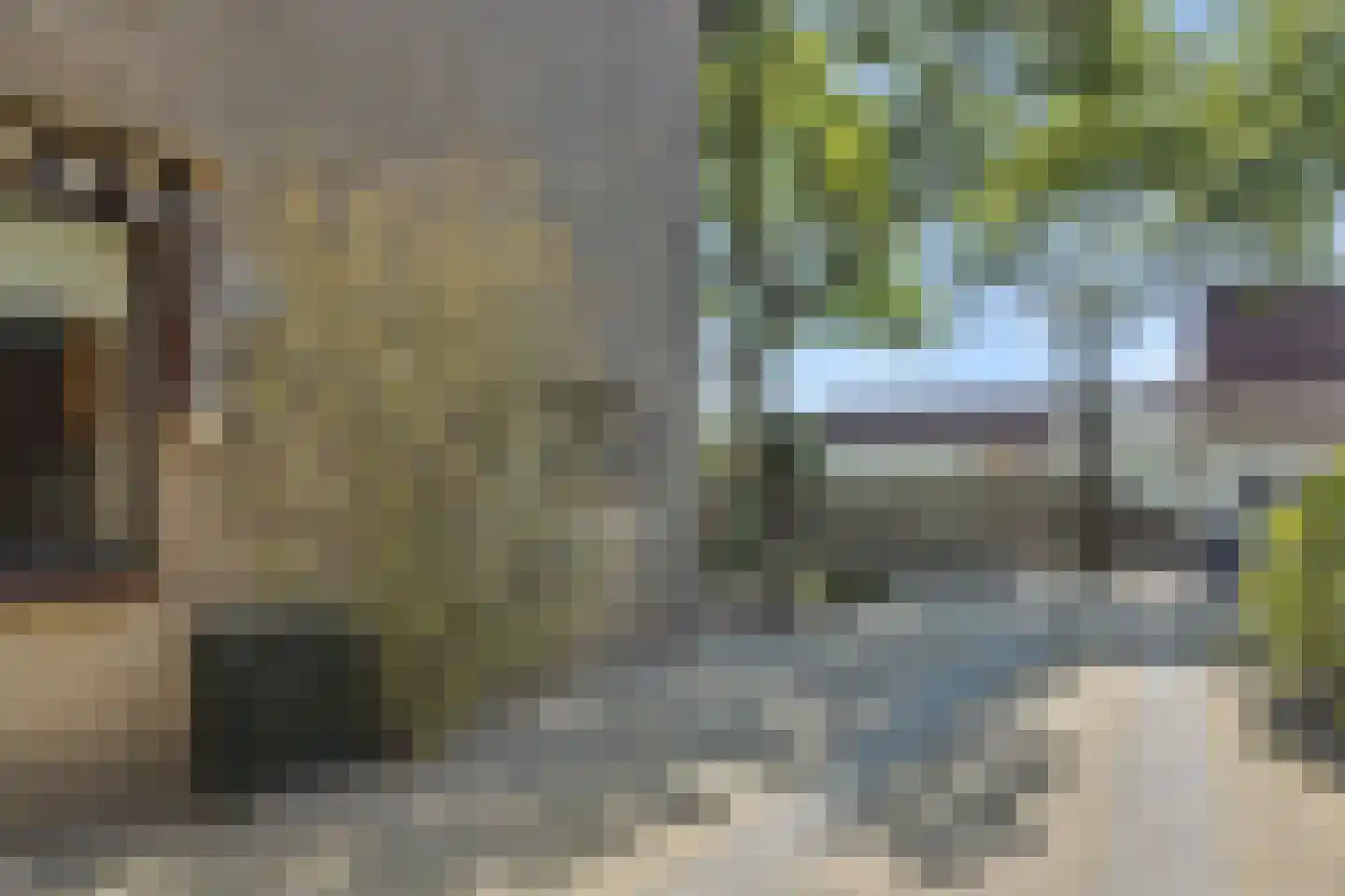 Sint Lambertusstraat 4 Rosmalen thumbnail 34