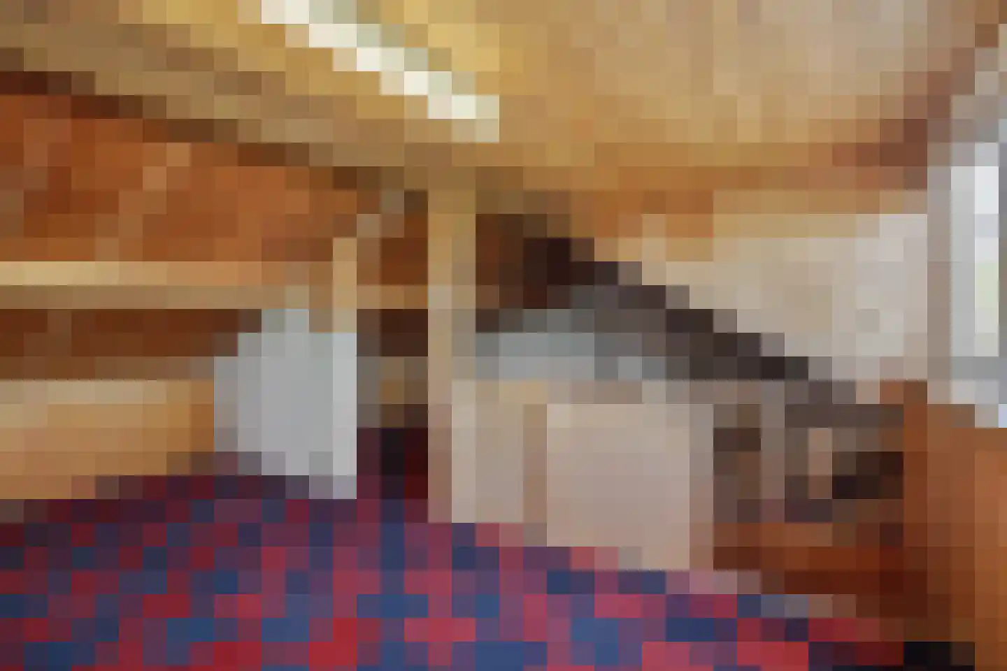 Sint Lambertusstraat 4 Rosmalen thumbnail 34