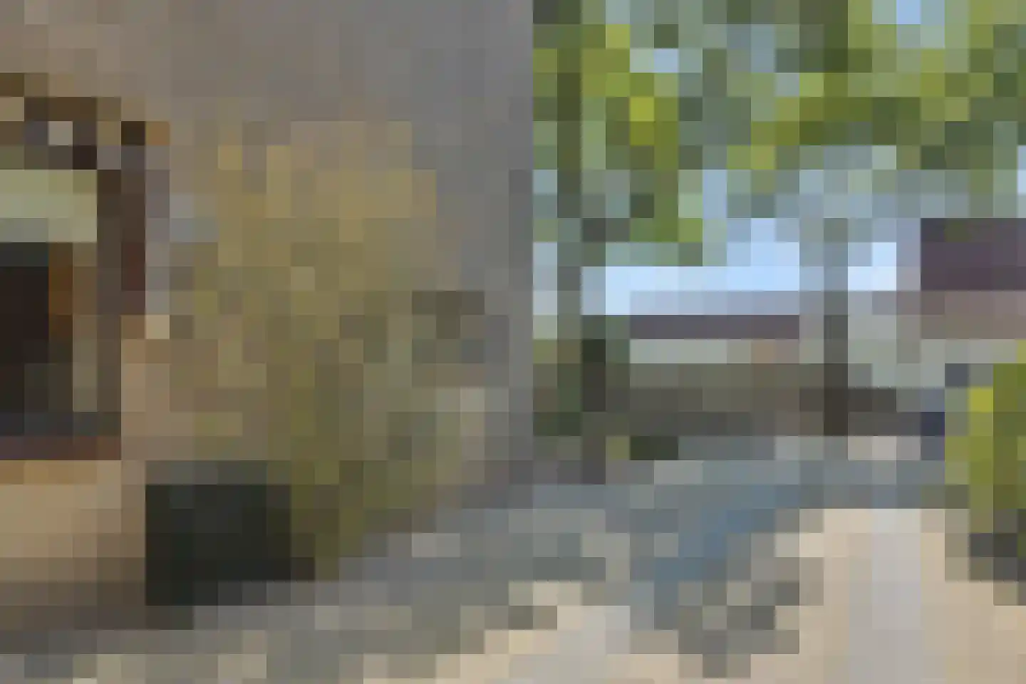 Sint Lambertusstraat 4 Rosmalen thumbnail 35