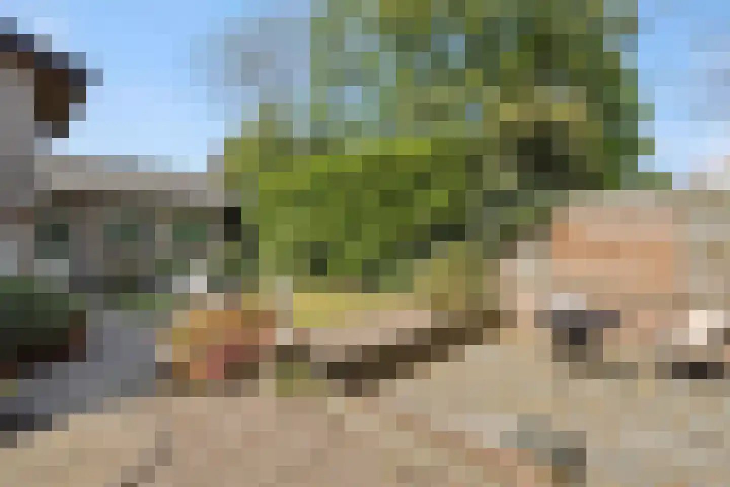 Sint Lambertusstraat 4 Rosmalen thumbnail 36