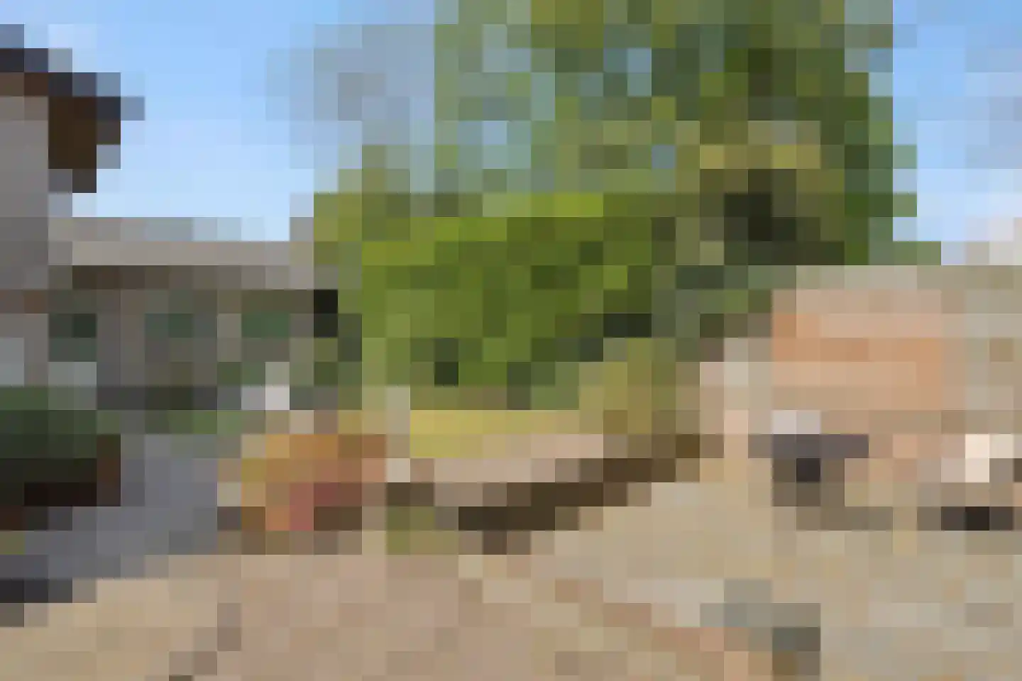 Sint Lambertusstraat 4 Rosmalen thumbnail 37