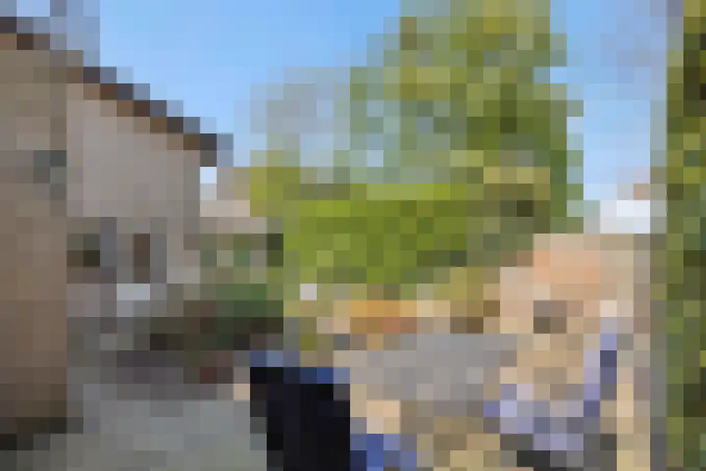 Sint Lambertusstraat 4 Rosmalen thumbnail 38