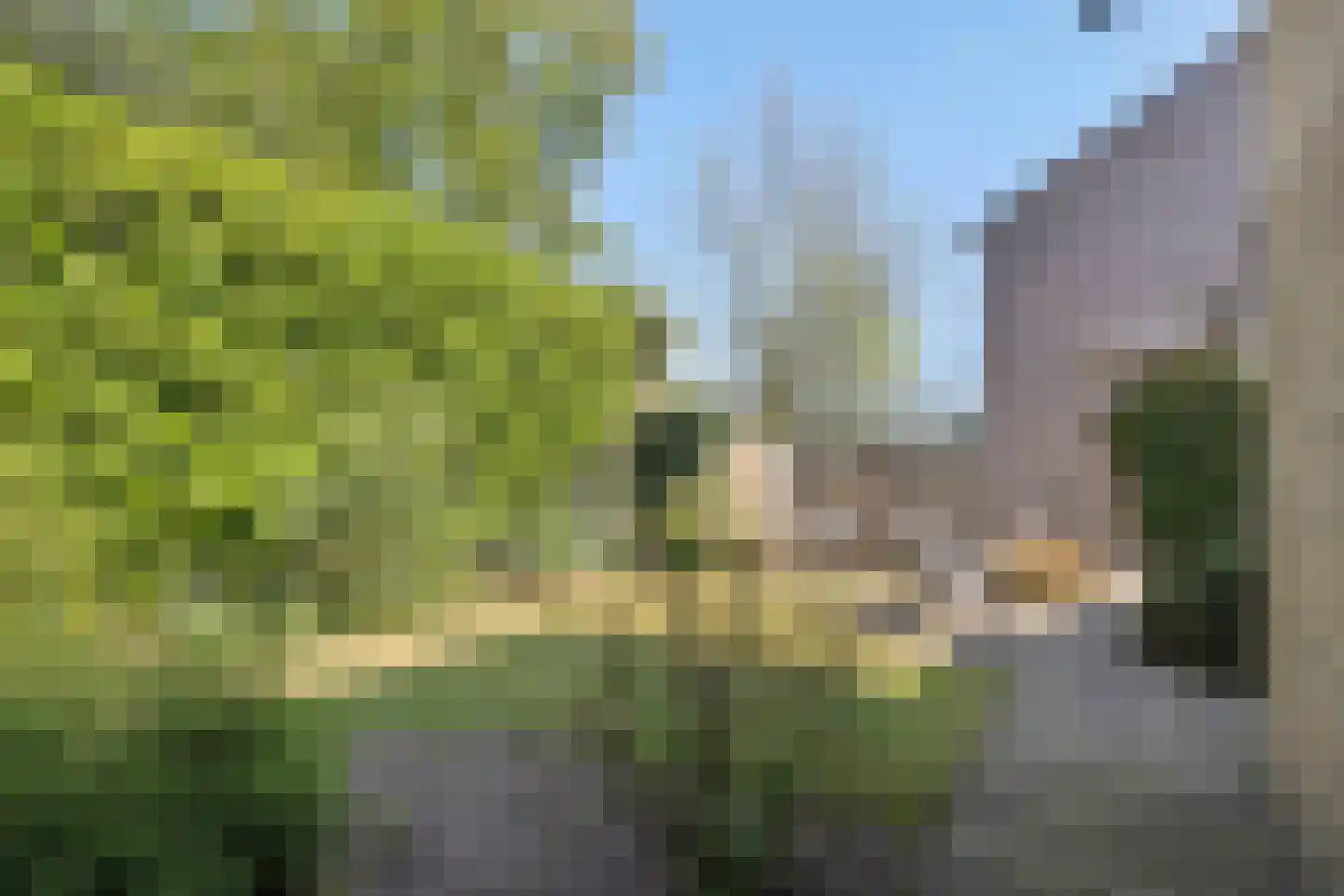 Sint Lambertusstraat 4 Rosmalen thumbnail 39