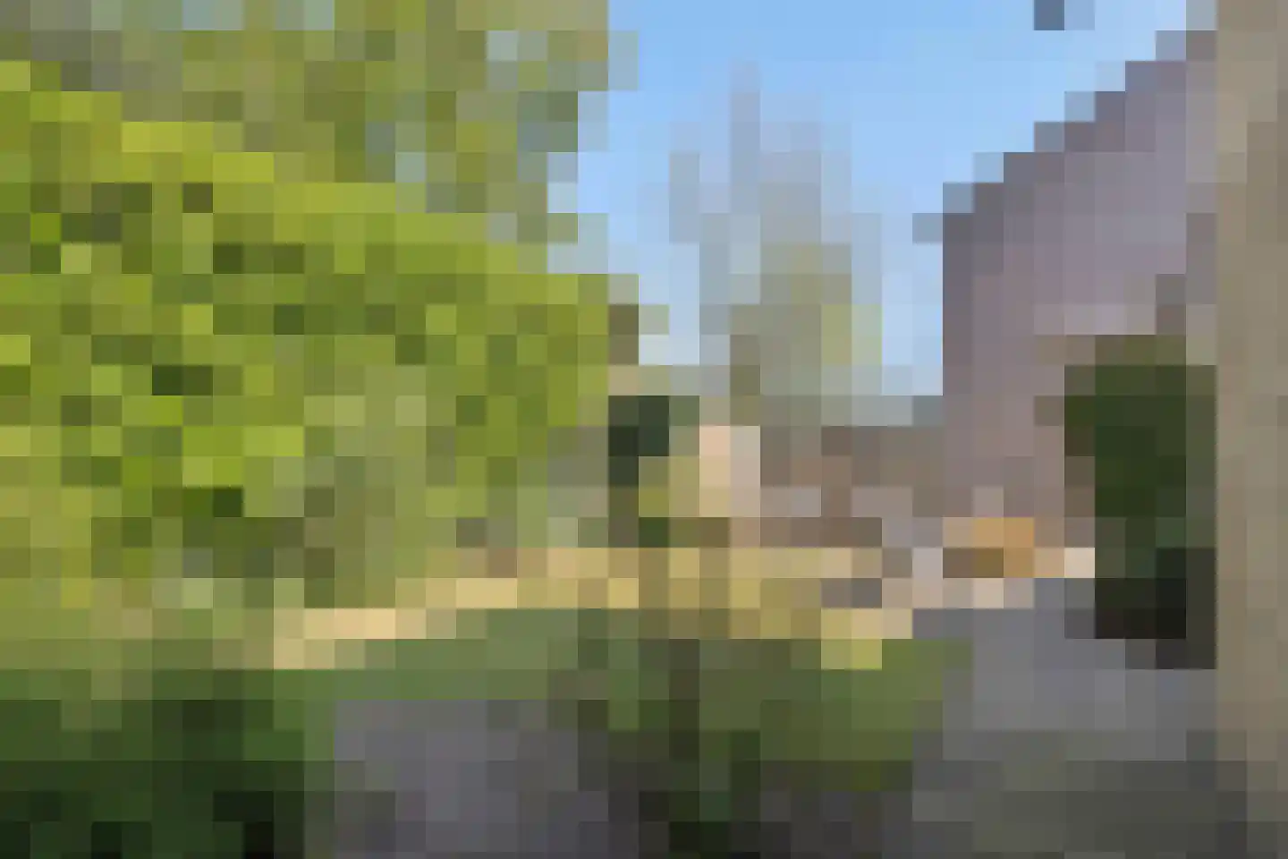 Sint Lambertusstraat 4 Rosmalen thumbnail 40