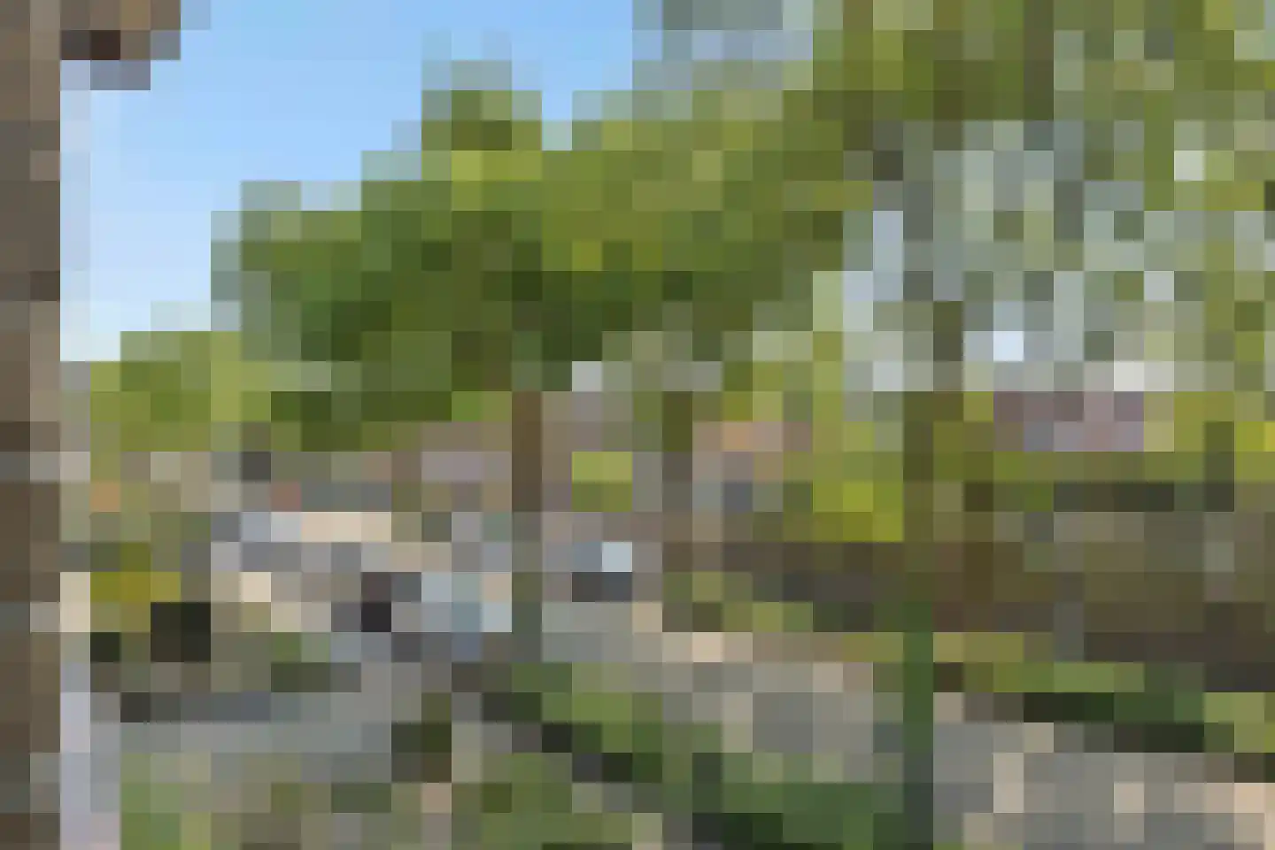 Sint Lambertusstraat 4 Rosmalen thumbnail 48