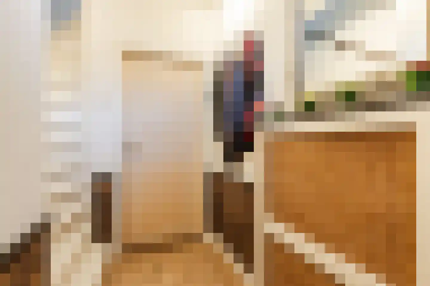 Sint Lambertusstraat 5 Hilvarenbeek thumbnail 12
