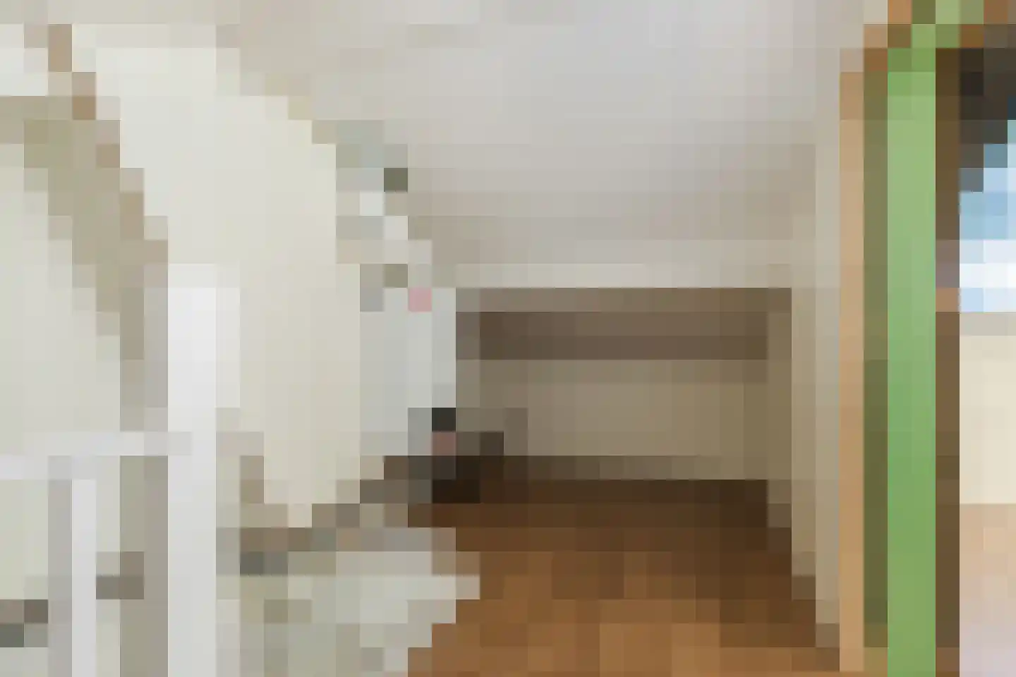 Sint Lambertusstraat 5 Hilvarenbeek thumbnail 26