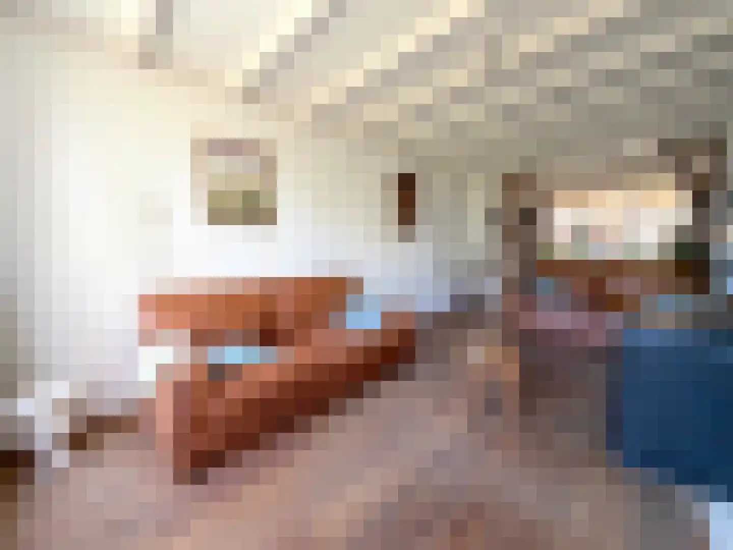 Sint Lambertusstraat 5 Hilvarenbeek thumbnail 4