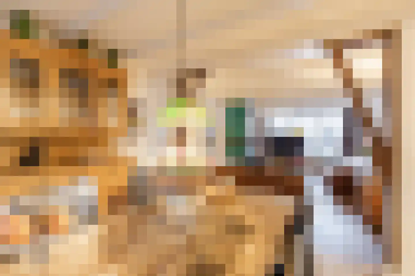 Sint Lambertusstraat 5 Hilvarenbeek thumbnail 6