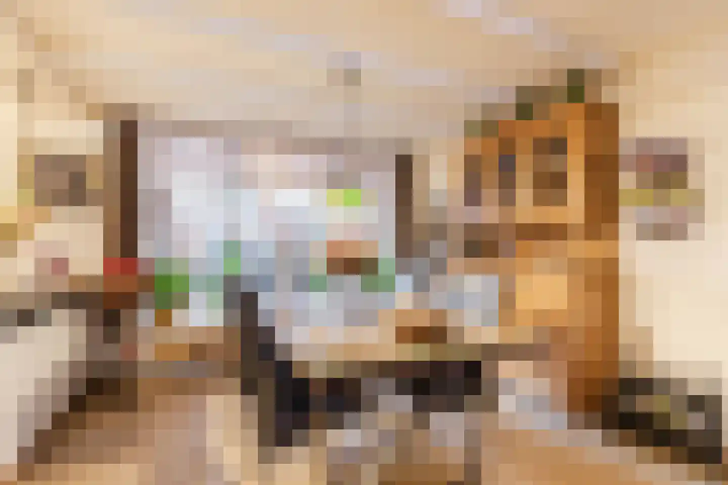 Sint Lambertusstraat 5 Hilvarenbeek thumbnail 7