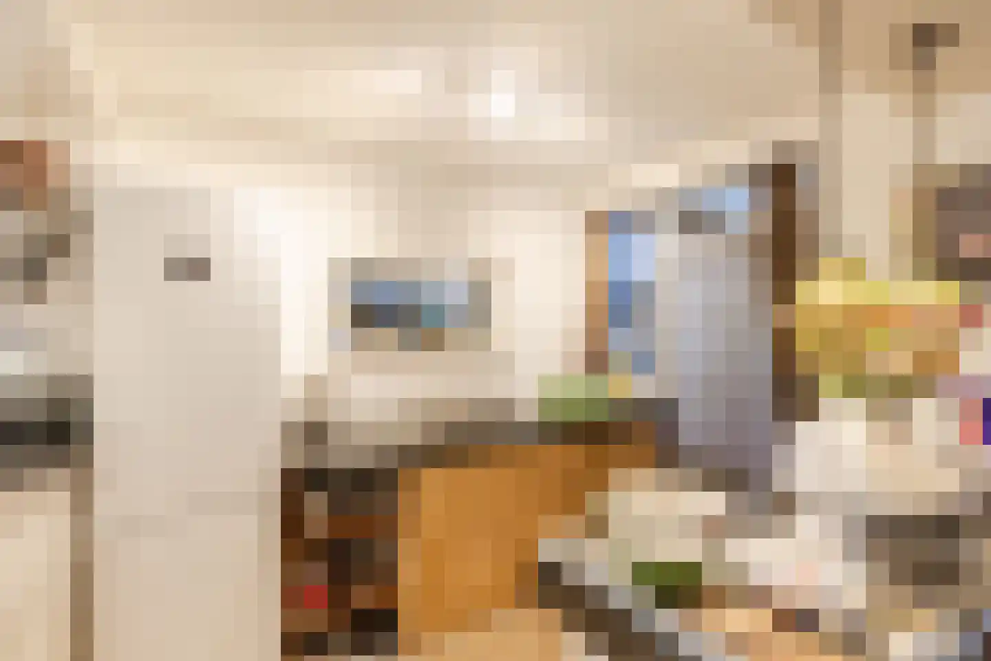 Sint Lambertusstraat 5 Hilvarenbeek thumbnail 8
