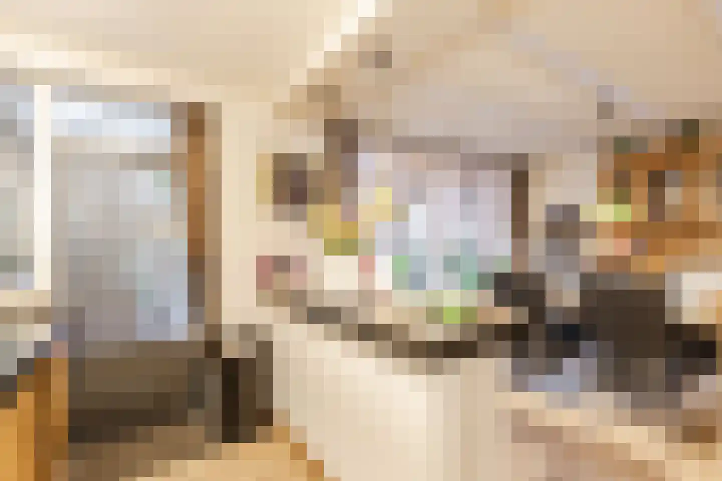 Sint Lambertusstraat 5 Hilvarenbeek thumbnail 9