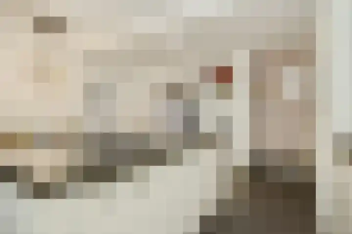 Sint Lambertusstraat 6 Liessel thumbnail 12