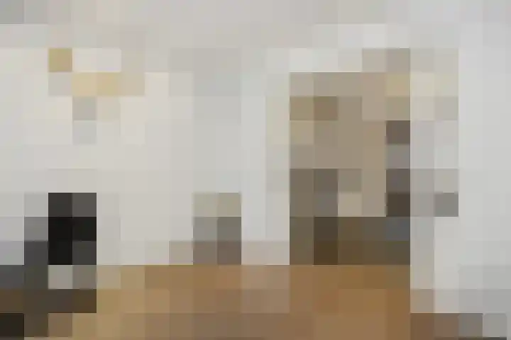 Sint Lambertusstraat 6 Liessel thumbnail 15