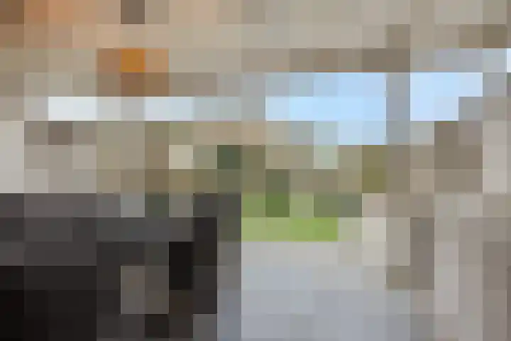 Sint Lambertusstraat 6 Liessel thumbnail 24