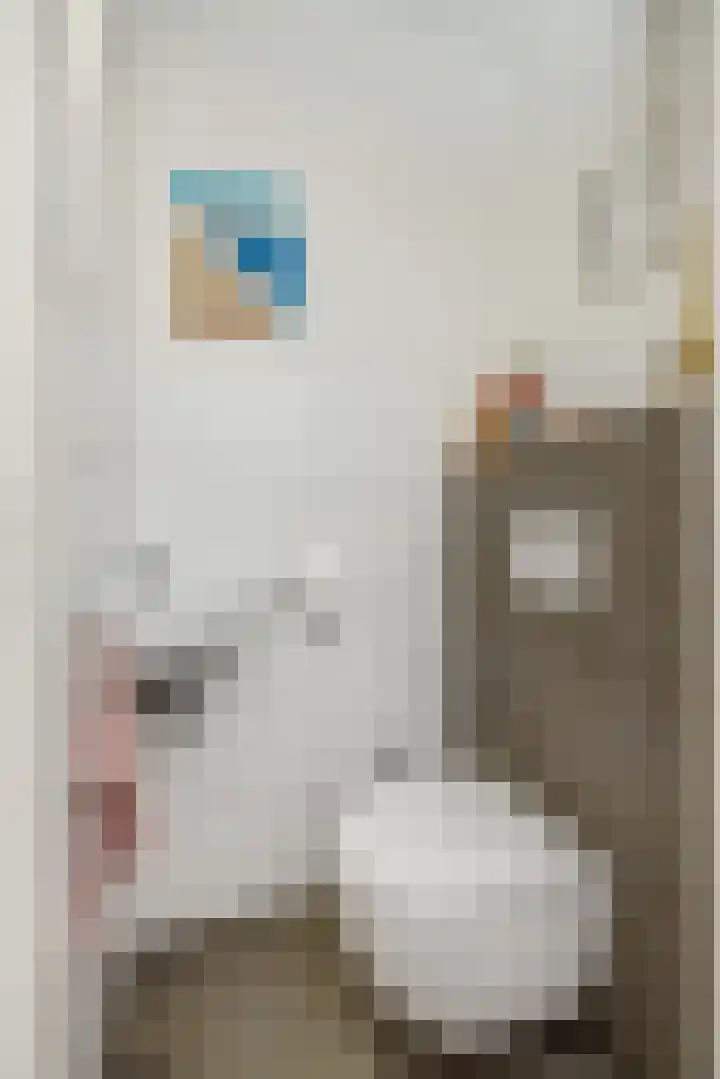 Sint Lambertusstraat 6 Liessel thumbnail 9