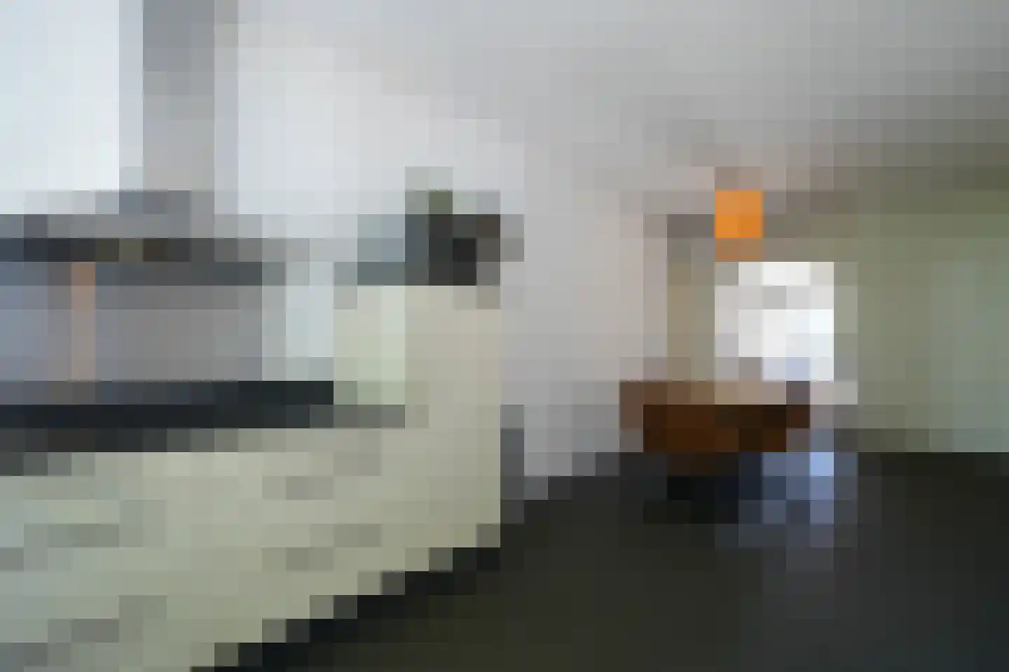 Sint Lambertusstraat 7 Sittard thumbnail 8