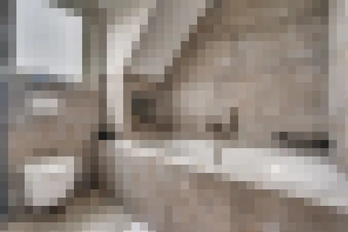 Sint Lambertusweg 30 a Reuver thumbnail 38