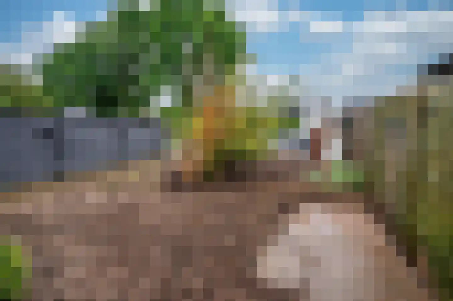 Sint Lambertusweg 30 a Reuver thumbnail 60