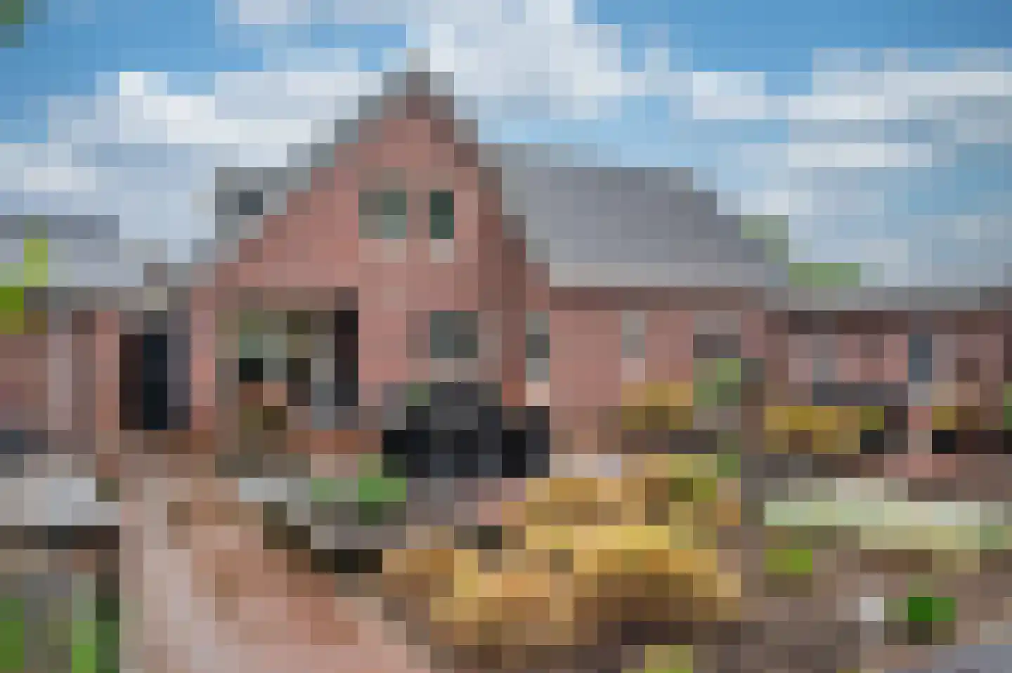 Sint Lambertusweg 30 a Reuver thumbnail 65