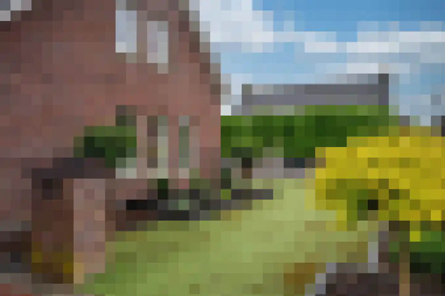 Sint Lambertusweg 30 a Reuver thumbnail 70
