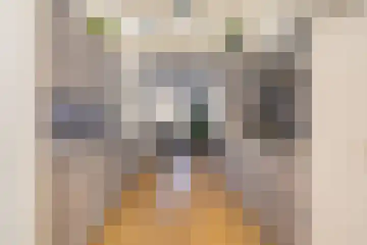 Sint Laurenslaan 3 Middelburg thumbnail 15