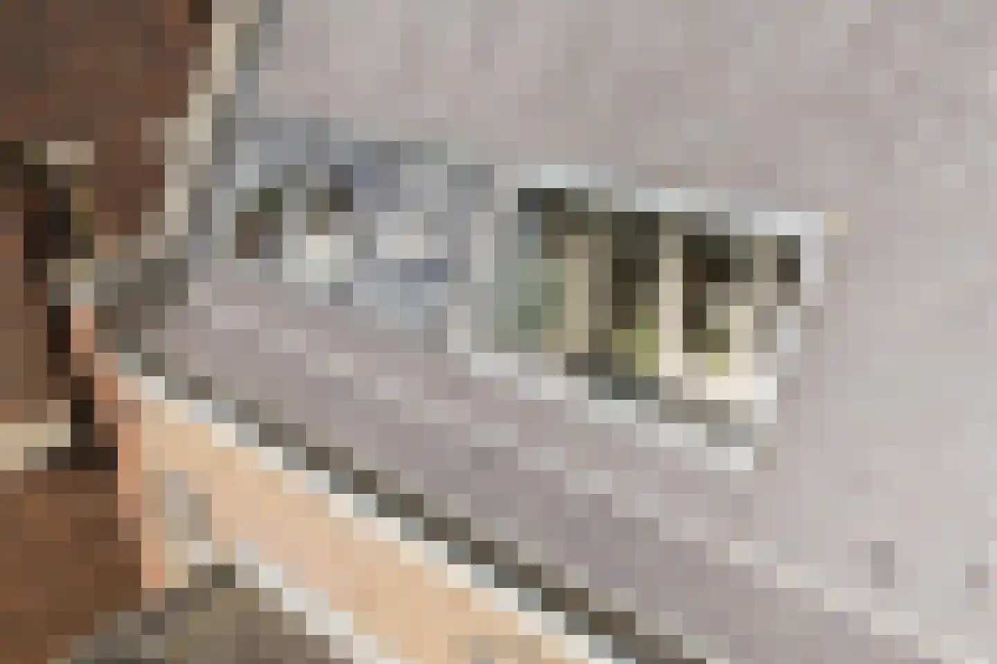 Sint Laurensstraat 7 H Alkmaar thumbnail 36