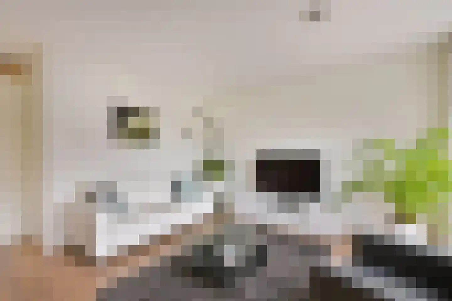 Sint Laurentiusstraat 6 Hoorn thumbnail 5