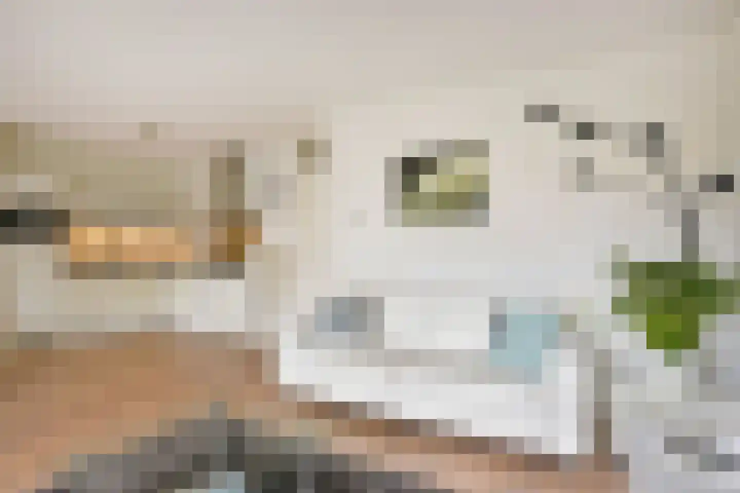 Sint Laurentiusstraat 6 Hoorn thumbnail 6