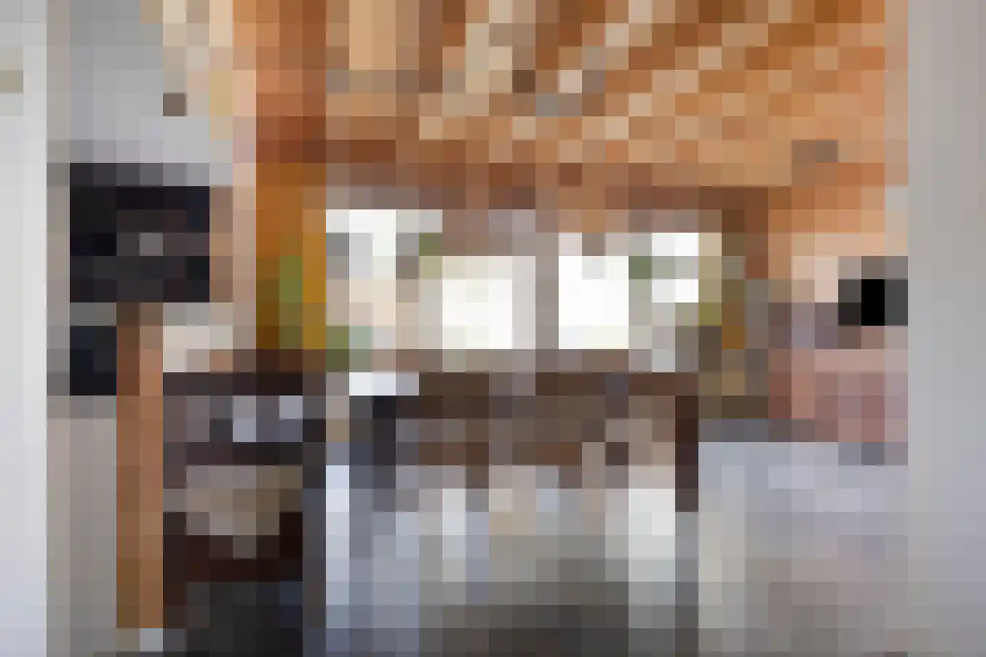 Sint Leonardusstraat 24 Oss thumbnail 11