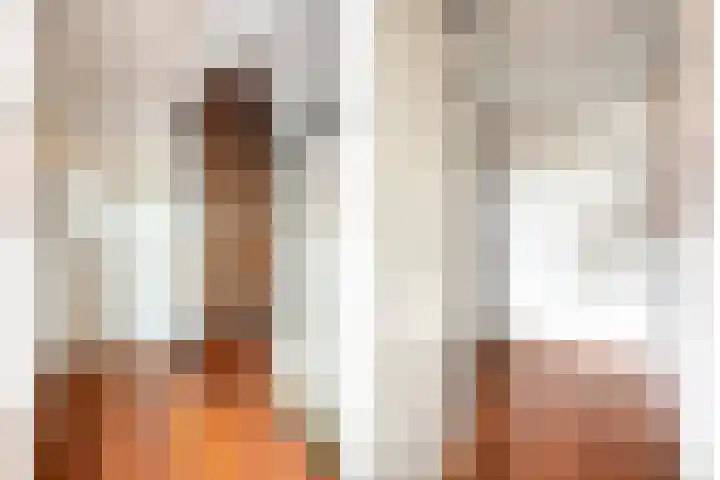 Sint Leonardusstraat 24 Oss thumbnail 25