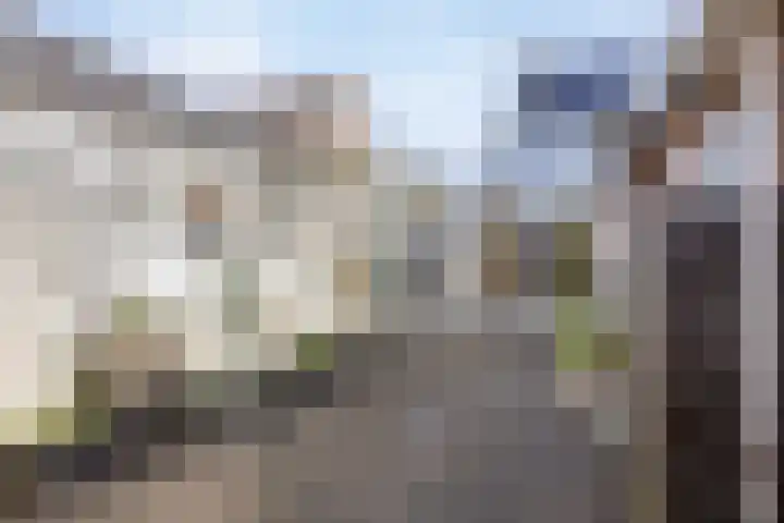 Sint Leonardusstraat 24 Oss thumbnail 27