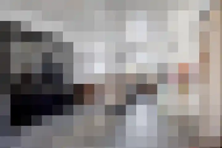 Sint Leonardusstraat 24 Oss thumbnail 4