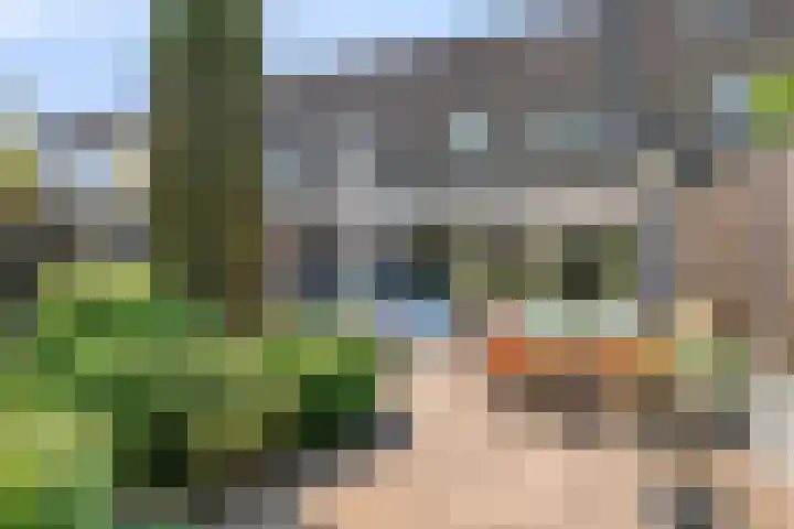 Sint Leonardusstraat 24 Oss thumbnail 5