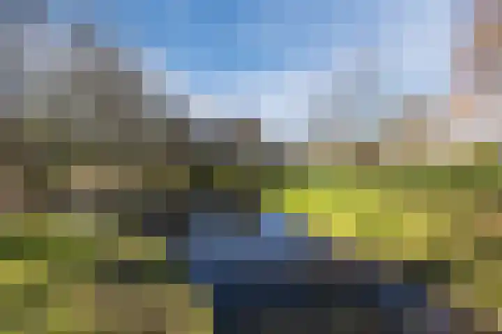 Sint Liduinaplein 4 A Schiedam thumbnail 42