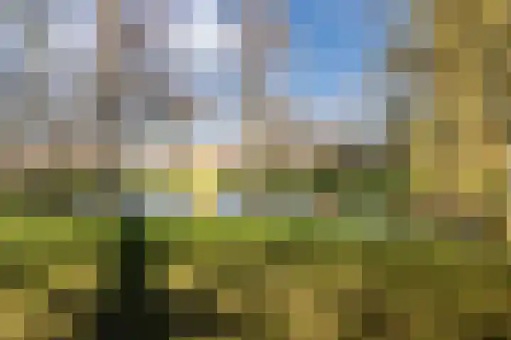 Sint Liduinaplein 4 A Schiedam thumbnail 43