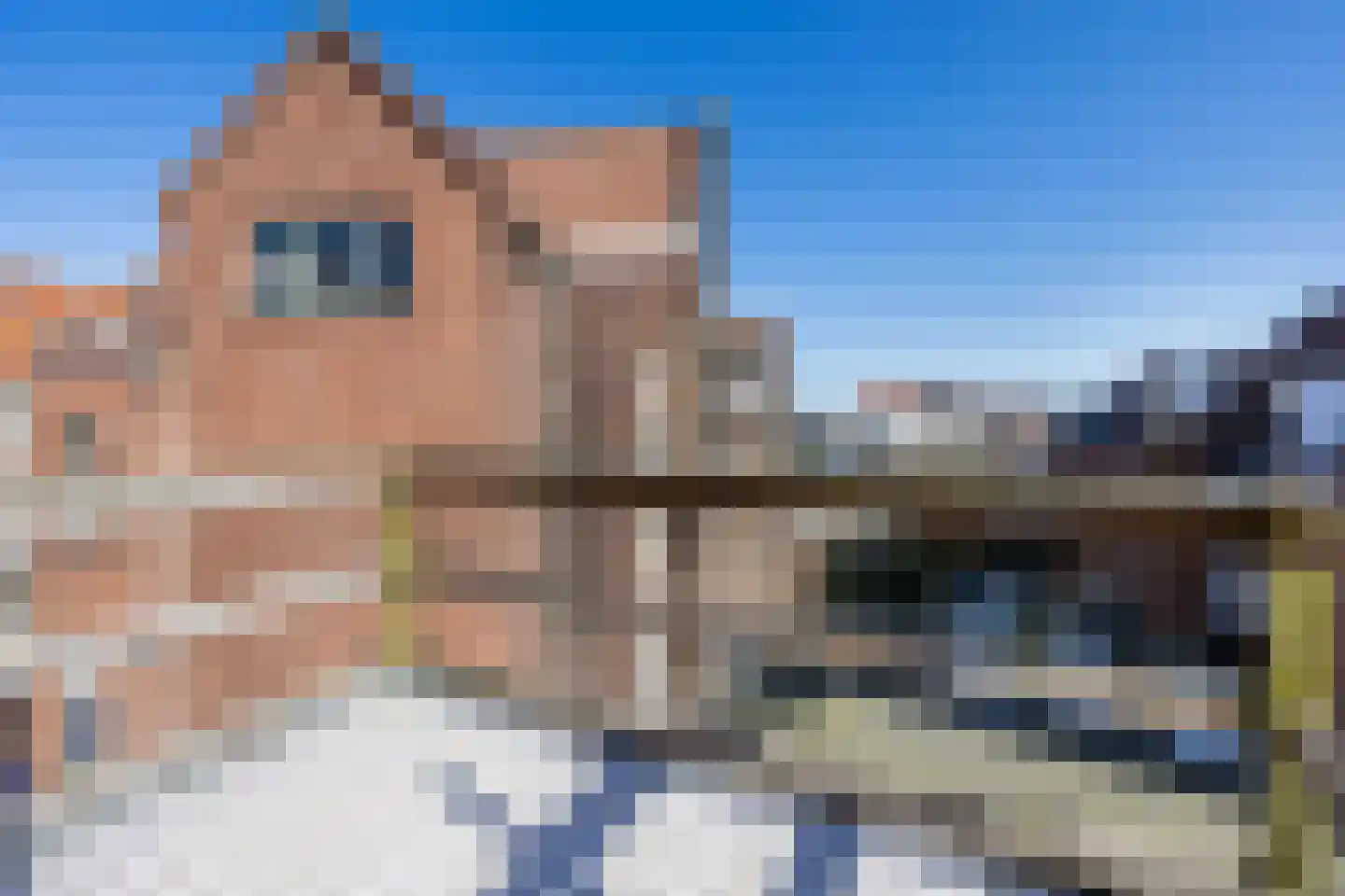 Sint Liduinaplein 4 B Schiedam thumbnail 36